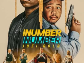 iNumber Number Jozi Gold 2023